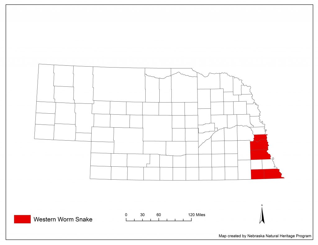 A range map indicating Nebraska counties in which the western worm snake has been found.