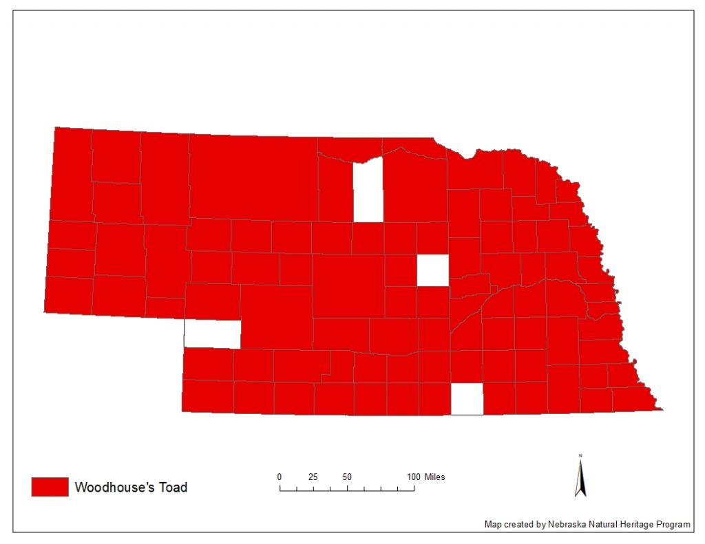 A range map indicating Nebraska counties in which the Woodhouse's toad has been found.