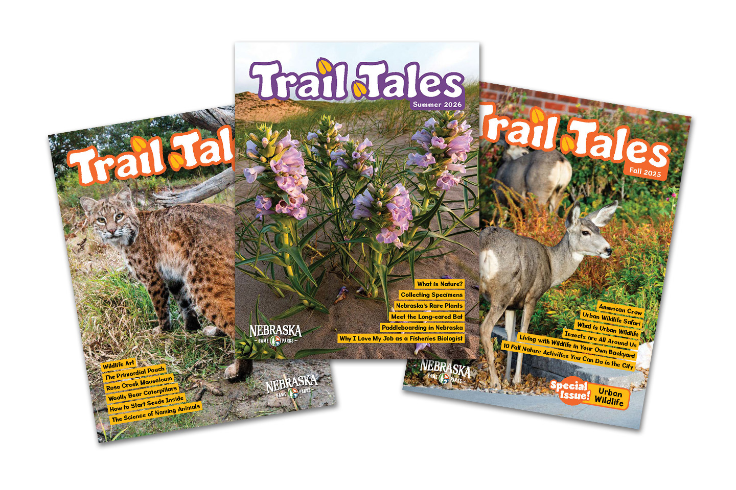 A spread of three issues of Trail Tales children's nature magazine.