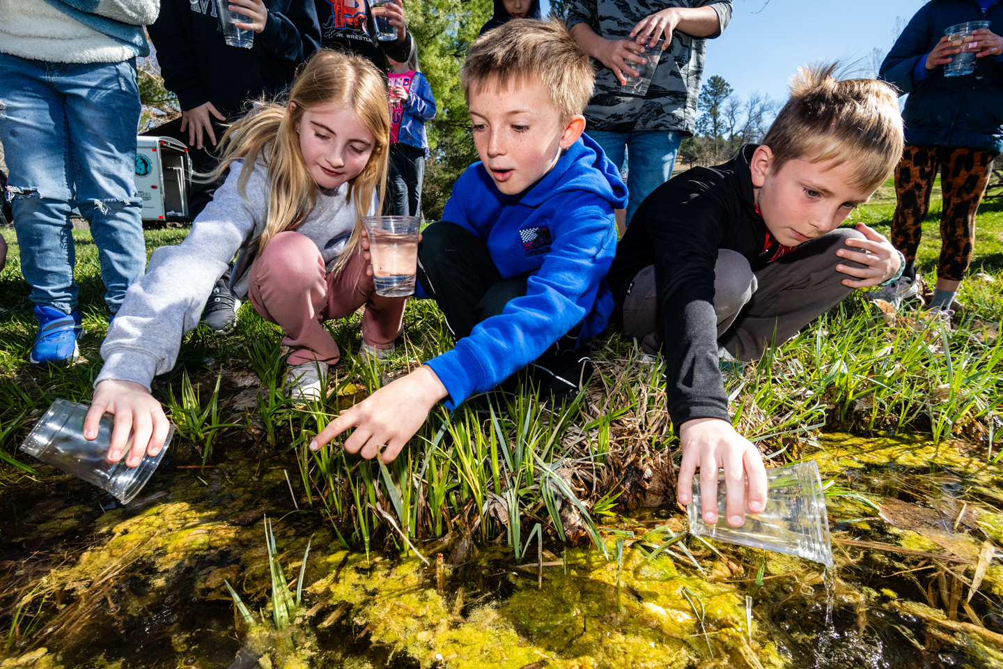 Read More: Trout in the Classroom