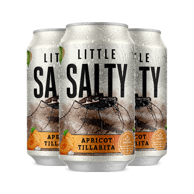 Three cider cans sporting the Little Salty salt creek tiger beetle image